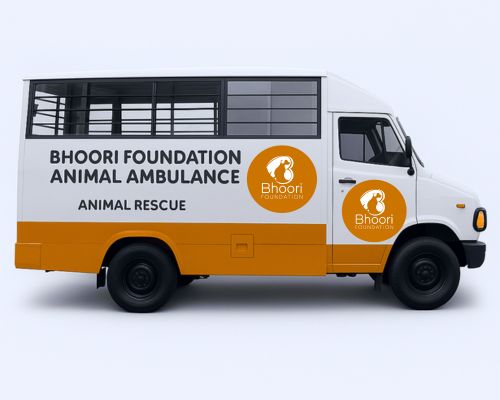 Animal Ambulance Fund - Bhoori Foundation bhoori foundation animal ambulance campaign